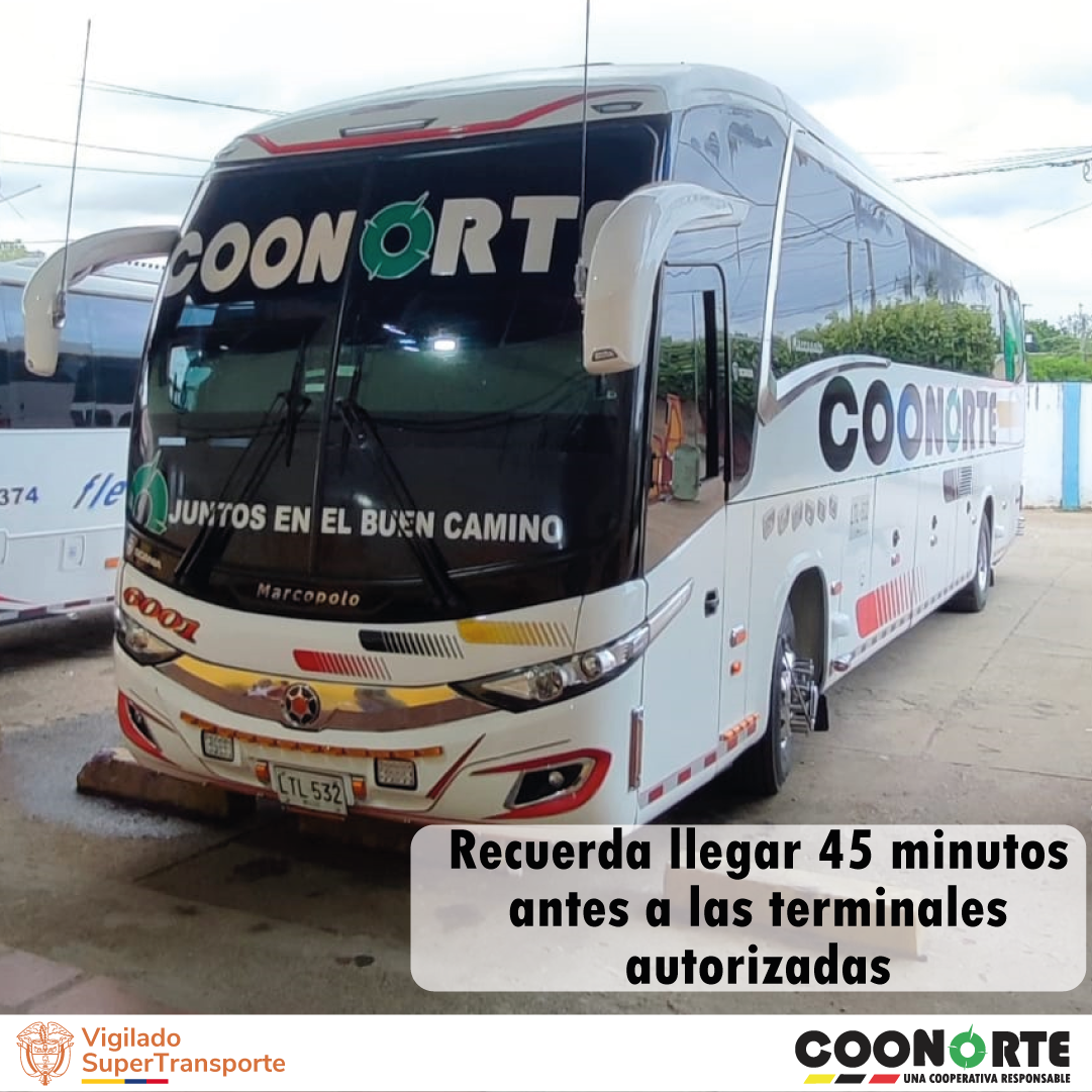 Imagen del Carrusel